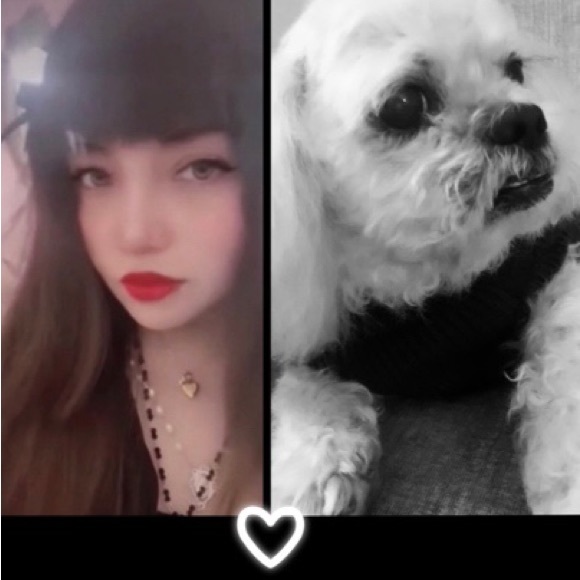 Meet your Posher, Nancegingy - Picture 1 of 1